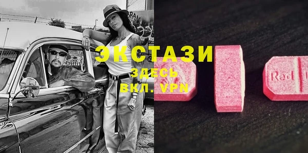 сатива Горняк