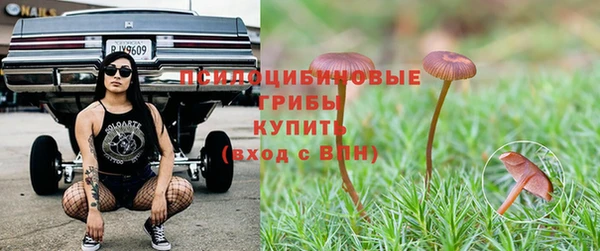 амф Абаза